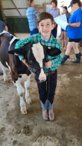 Dairy Feeder Calf 4-H Project