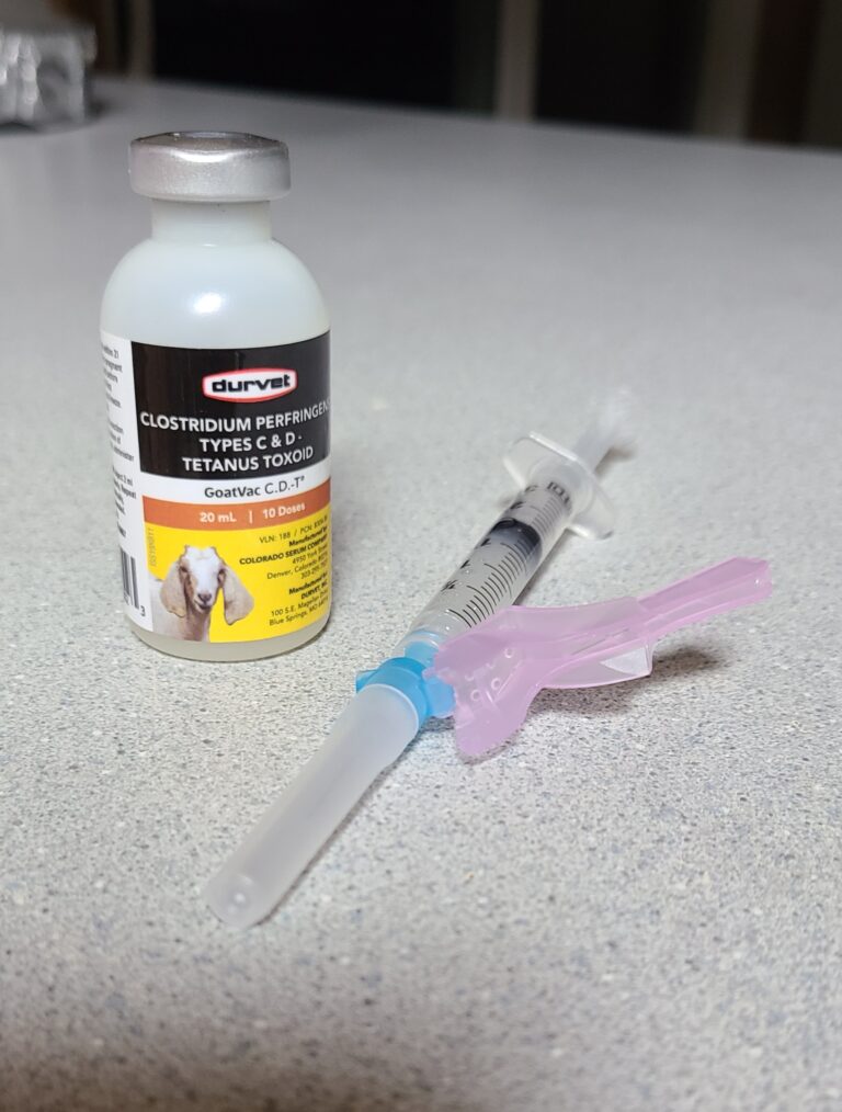 goat vaccine