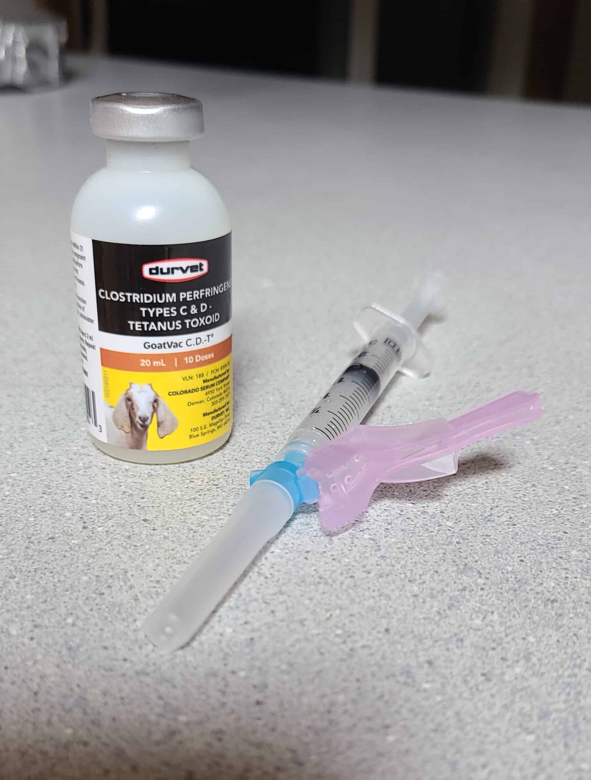 goat vaccine