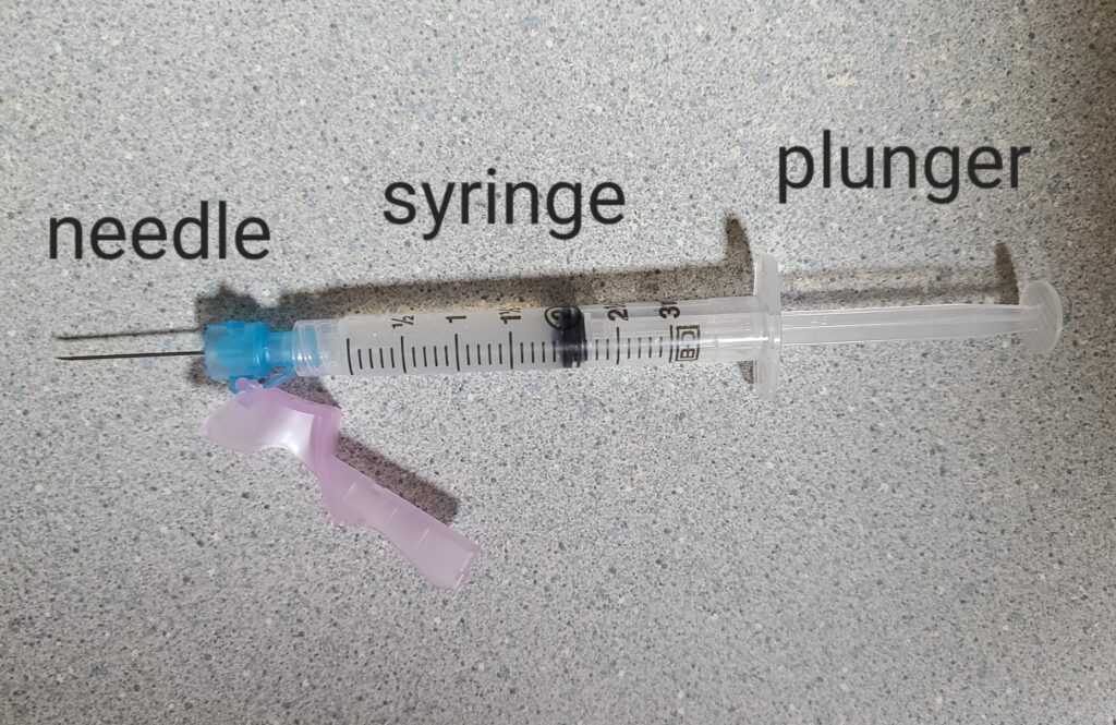 parts of a syringe labeled