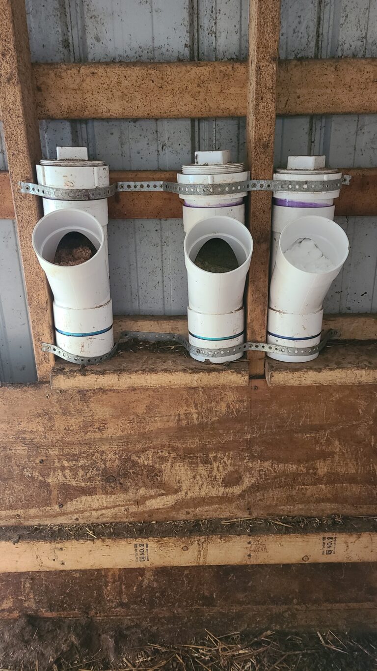 PVC mineral feeders for goats