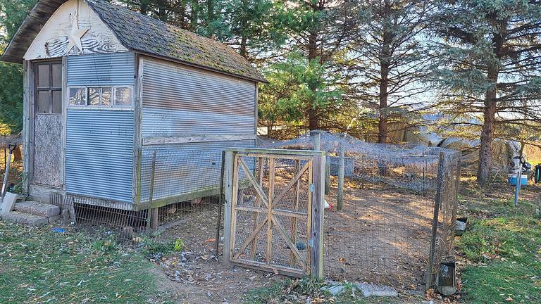 Chicken coop