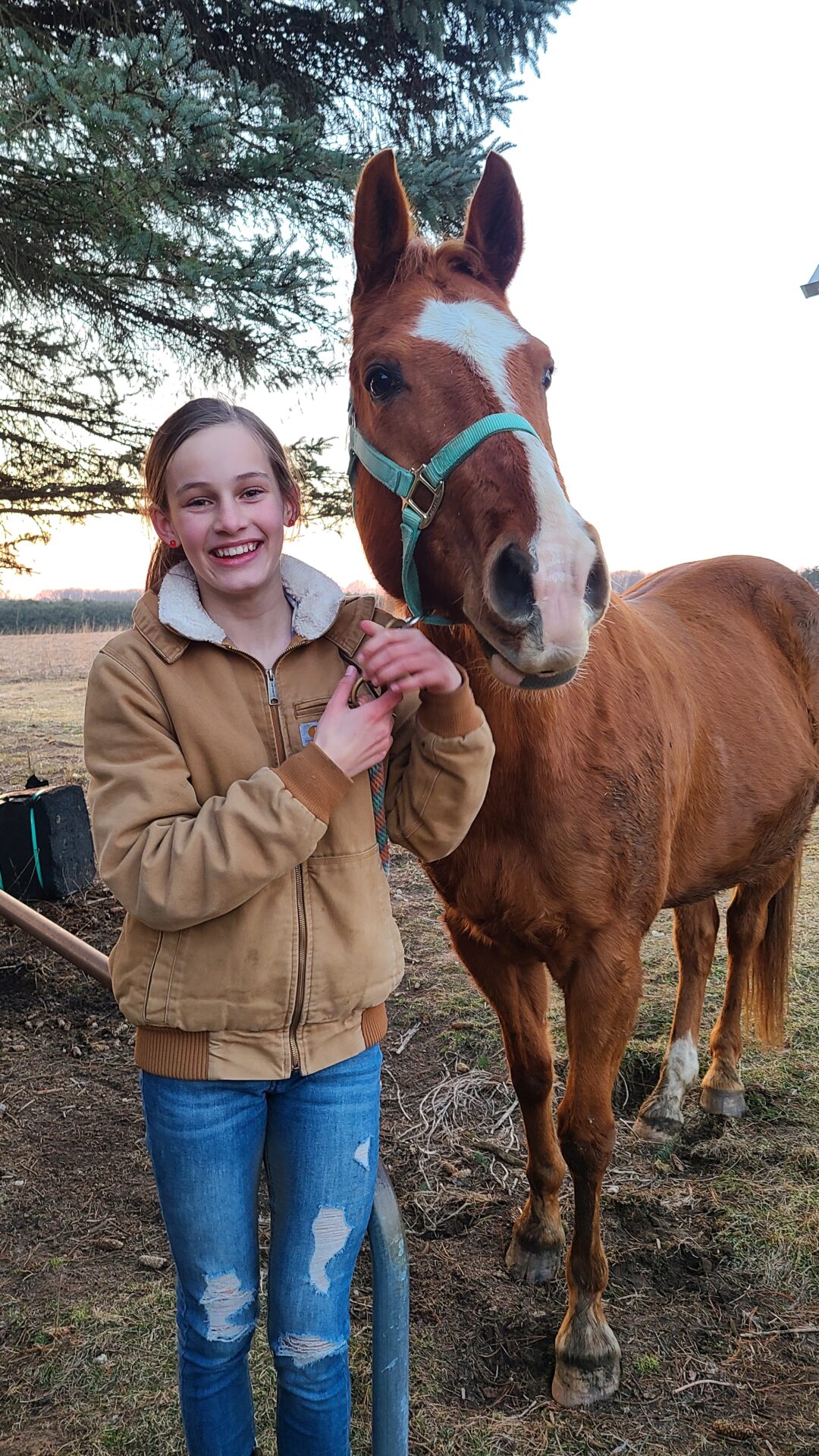 Girl and a horse