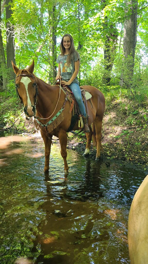 buy your daughter a horse so she can have fun