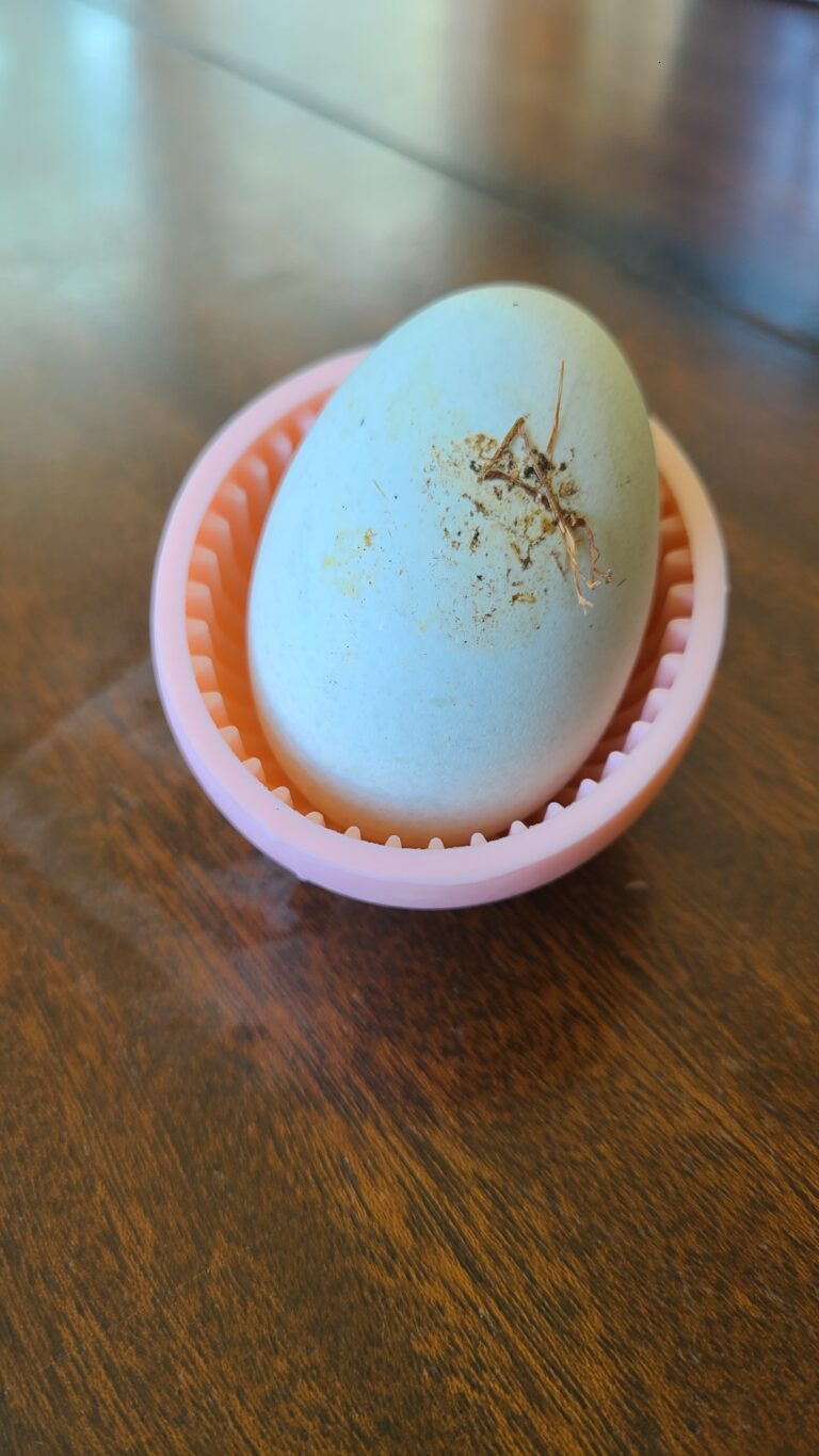 Dirty egg in a silicone scrubber