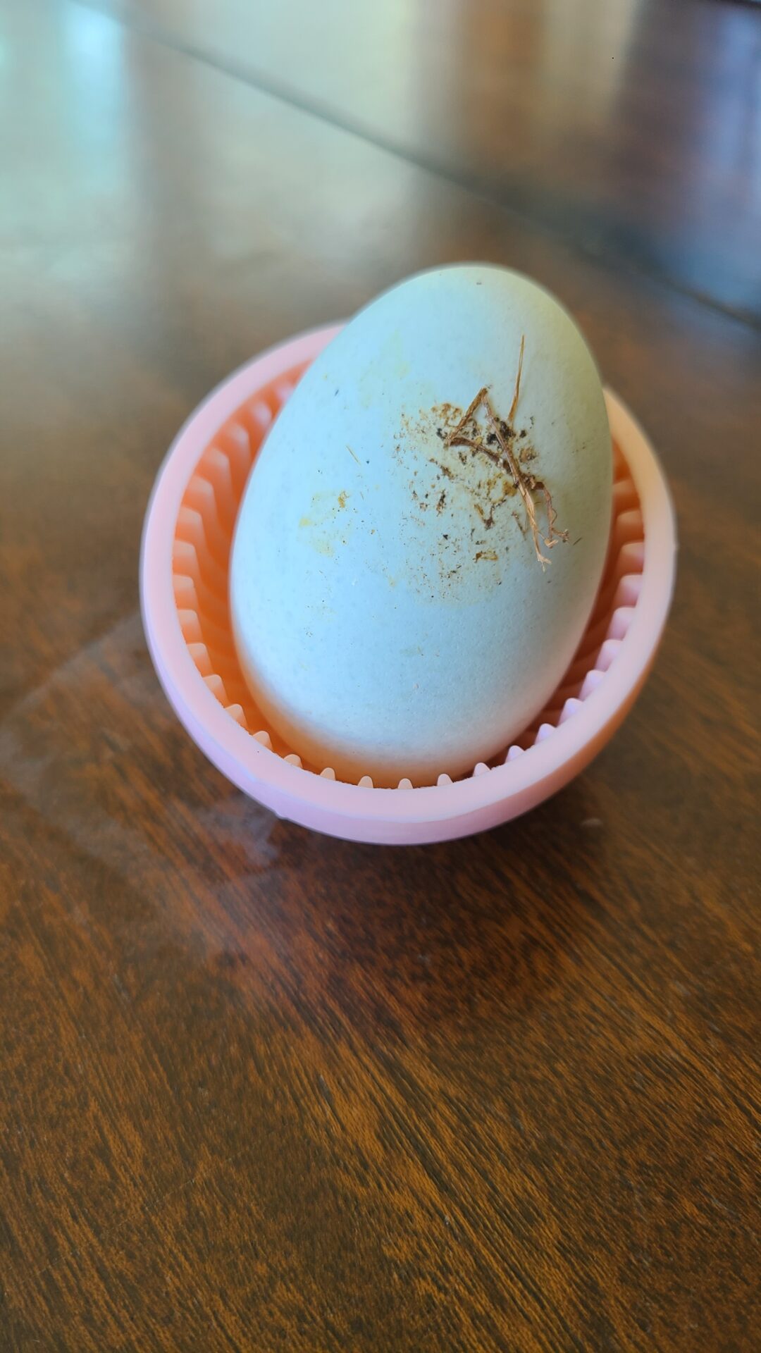 Dirty egg in a silicone scrubber
