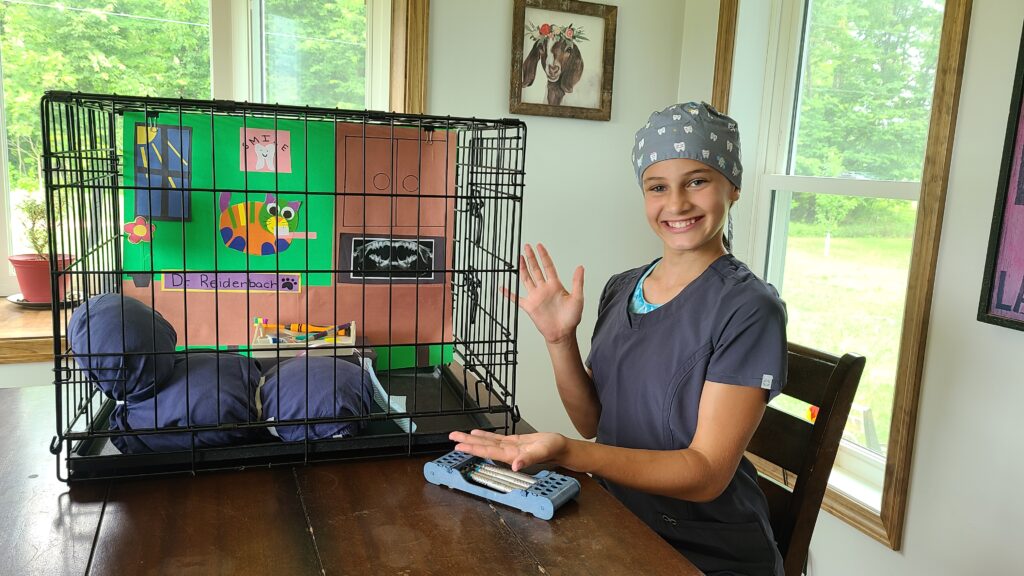 Cat cage decorated like a dental office