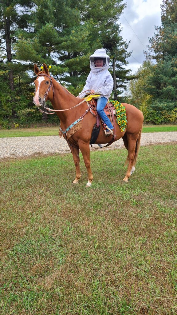 Horse dressed up as a bee and rider as a beekeeper