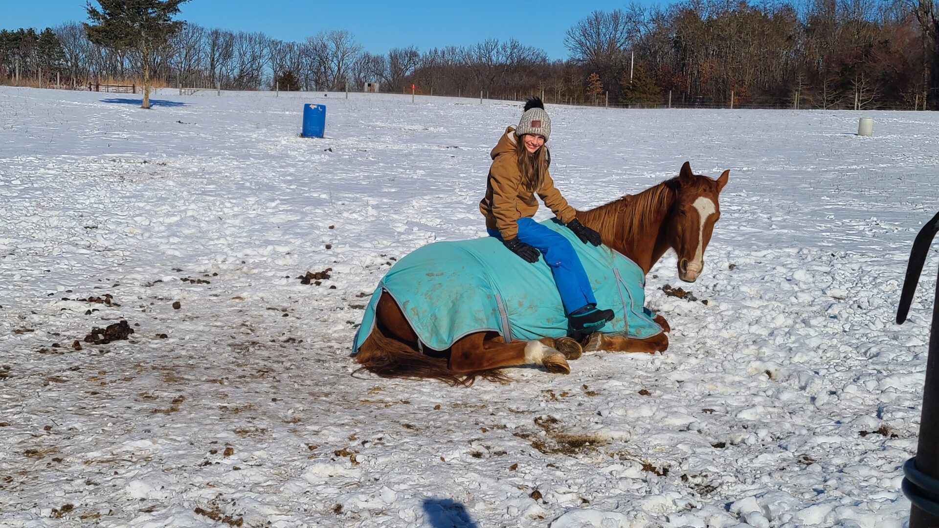 Girl on a horse that is lying down