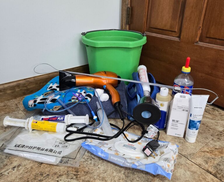Items for a homemade kidding kit in front of a green bucket.