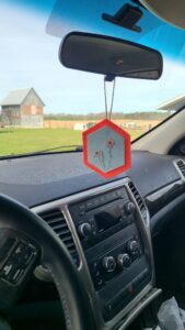 Homemade car air freshener