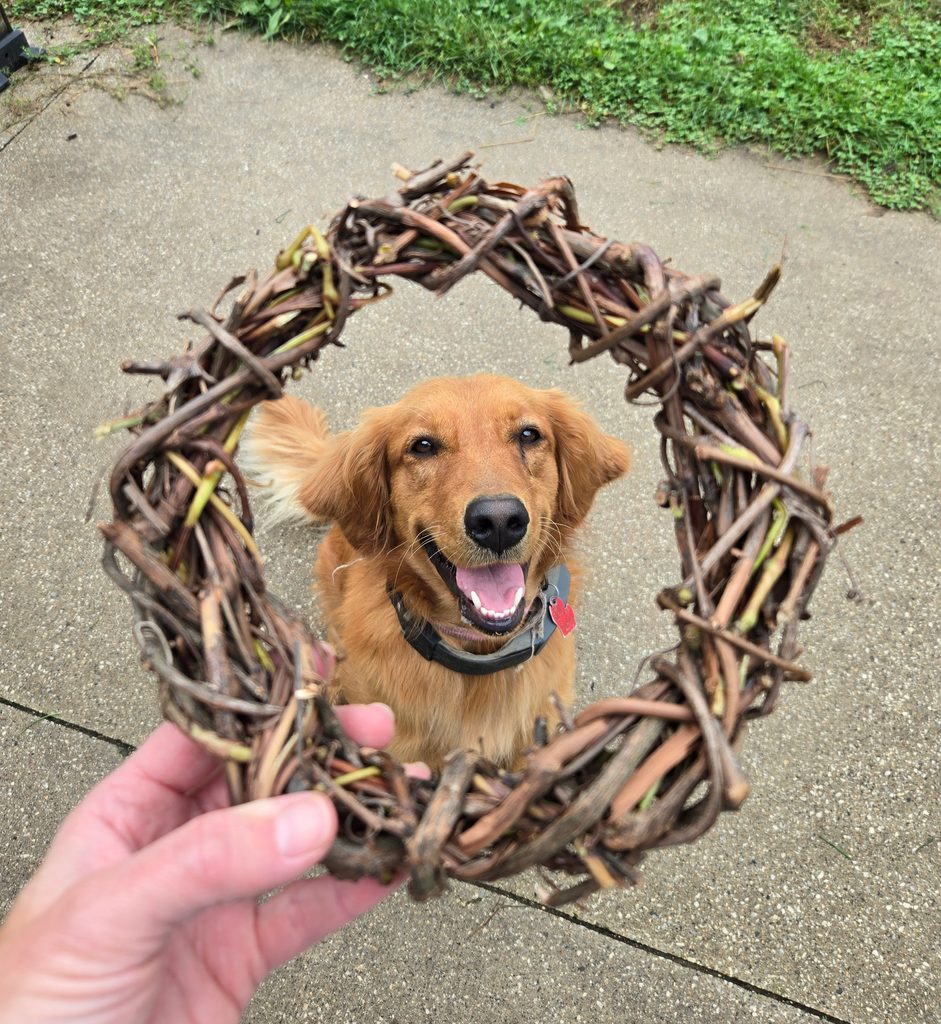 wild grapevine wreath with a dog inside it.