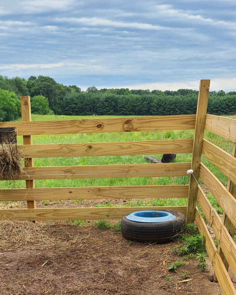 Fence for goat enclosure