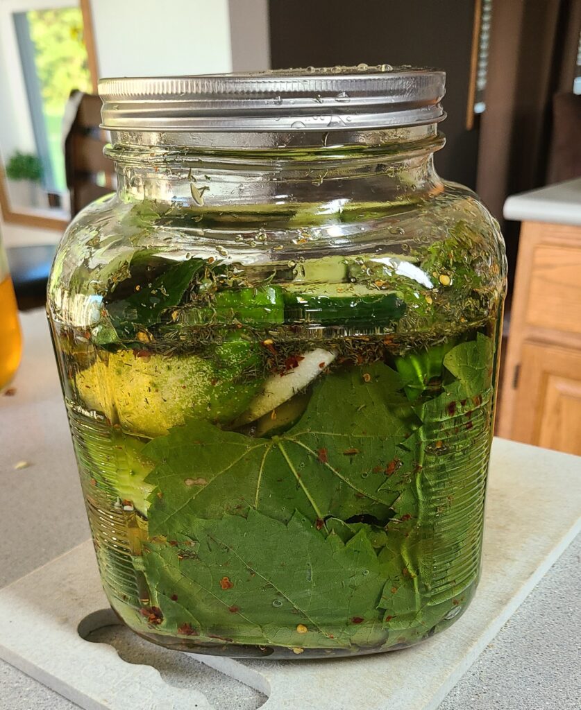 A jar of homemade pickles lined with grape leaves