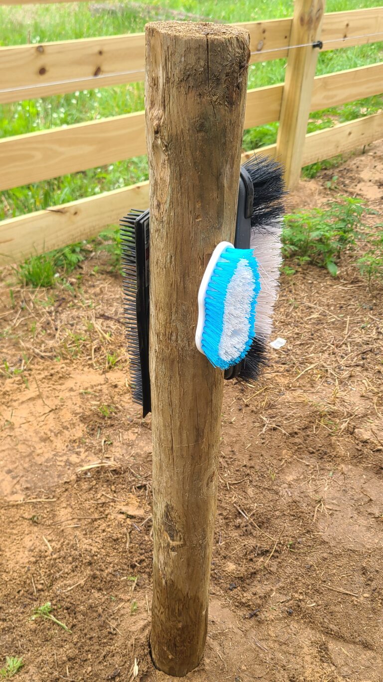 Homemade scratching post for goats