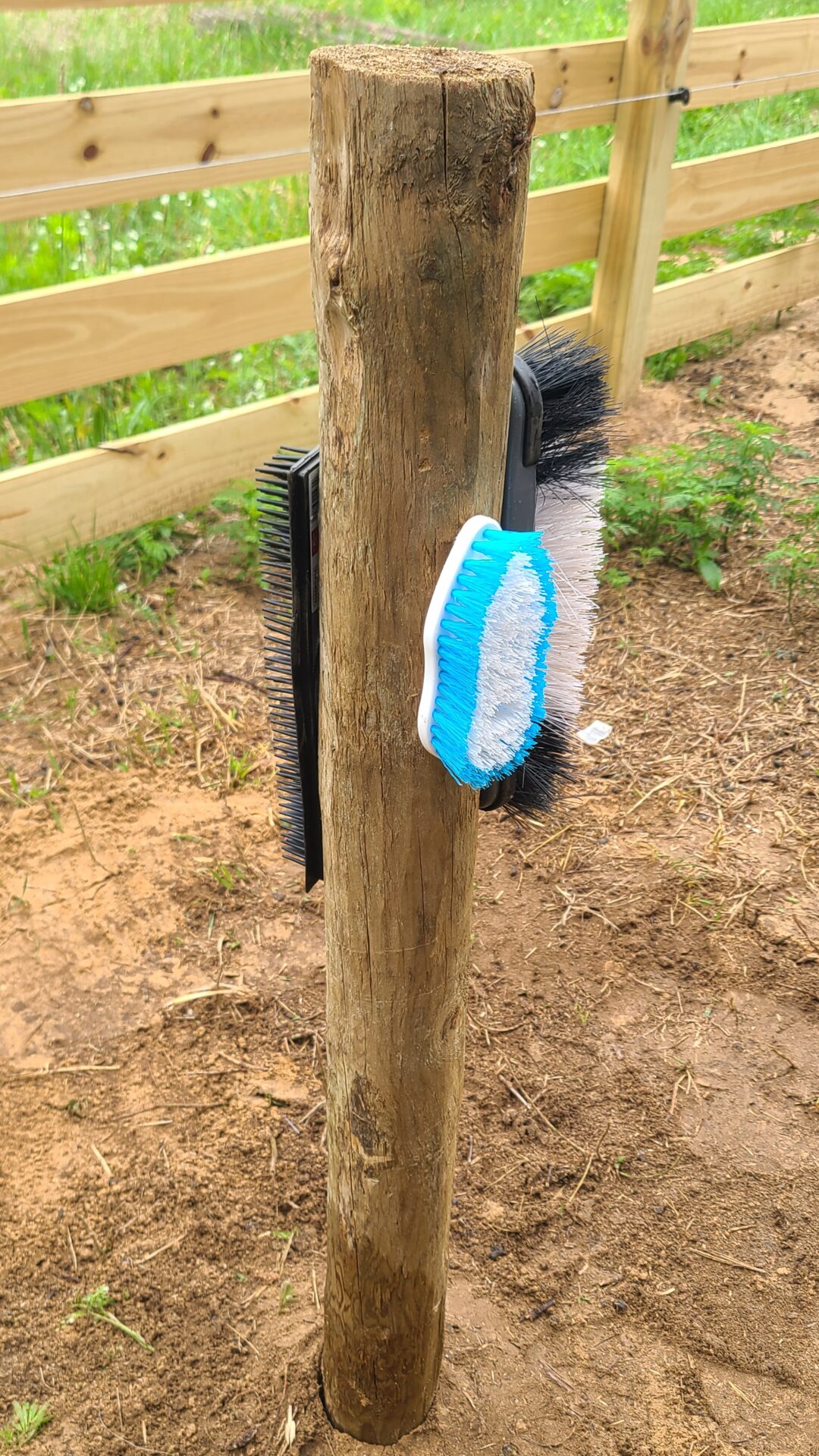 Homemade scratching post for goats