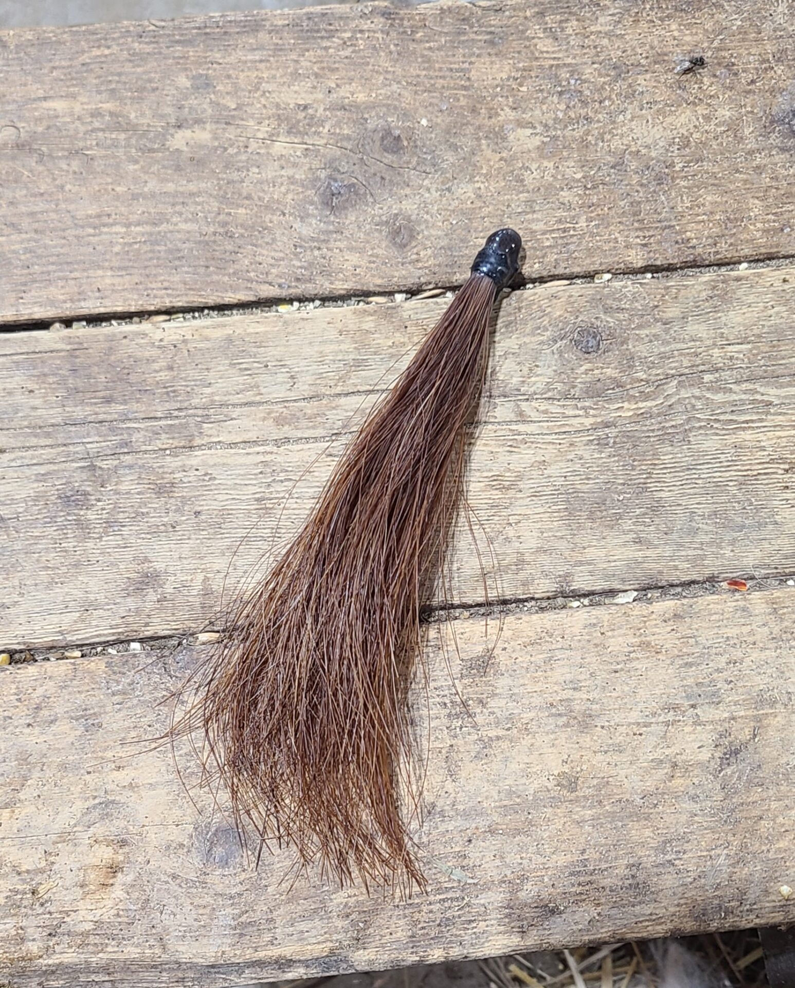 Forelock extension for a horse