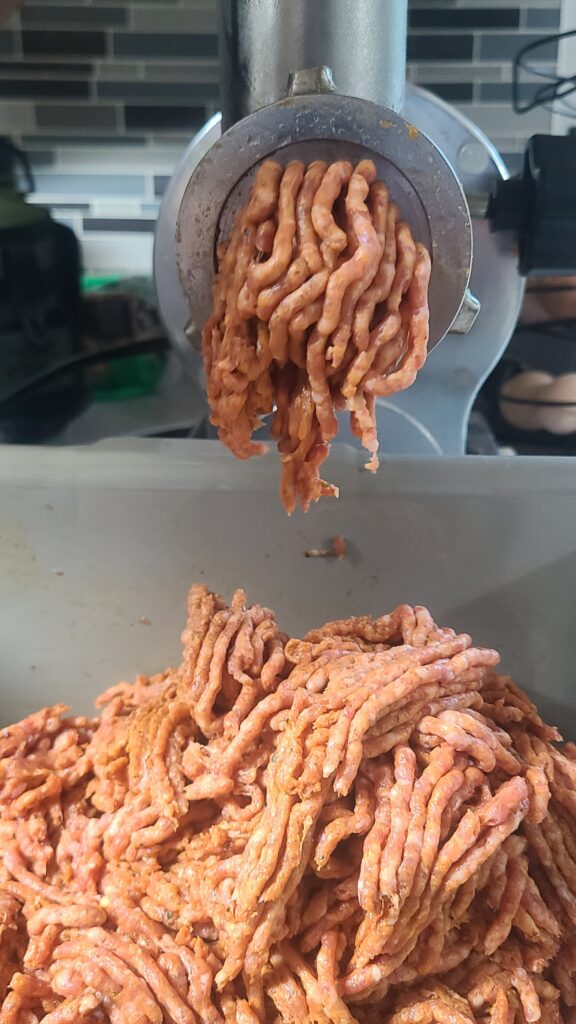 Homemade pork sausage running through a fine grinder plate.