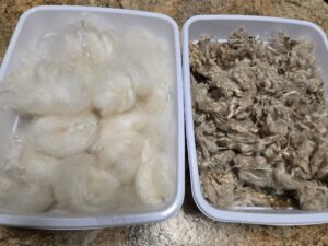 Left side: washed and combed mohair. Right side: raw mohair fleece