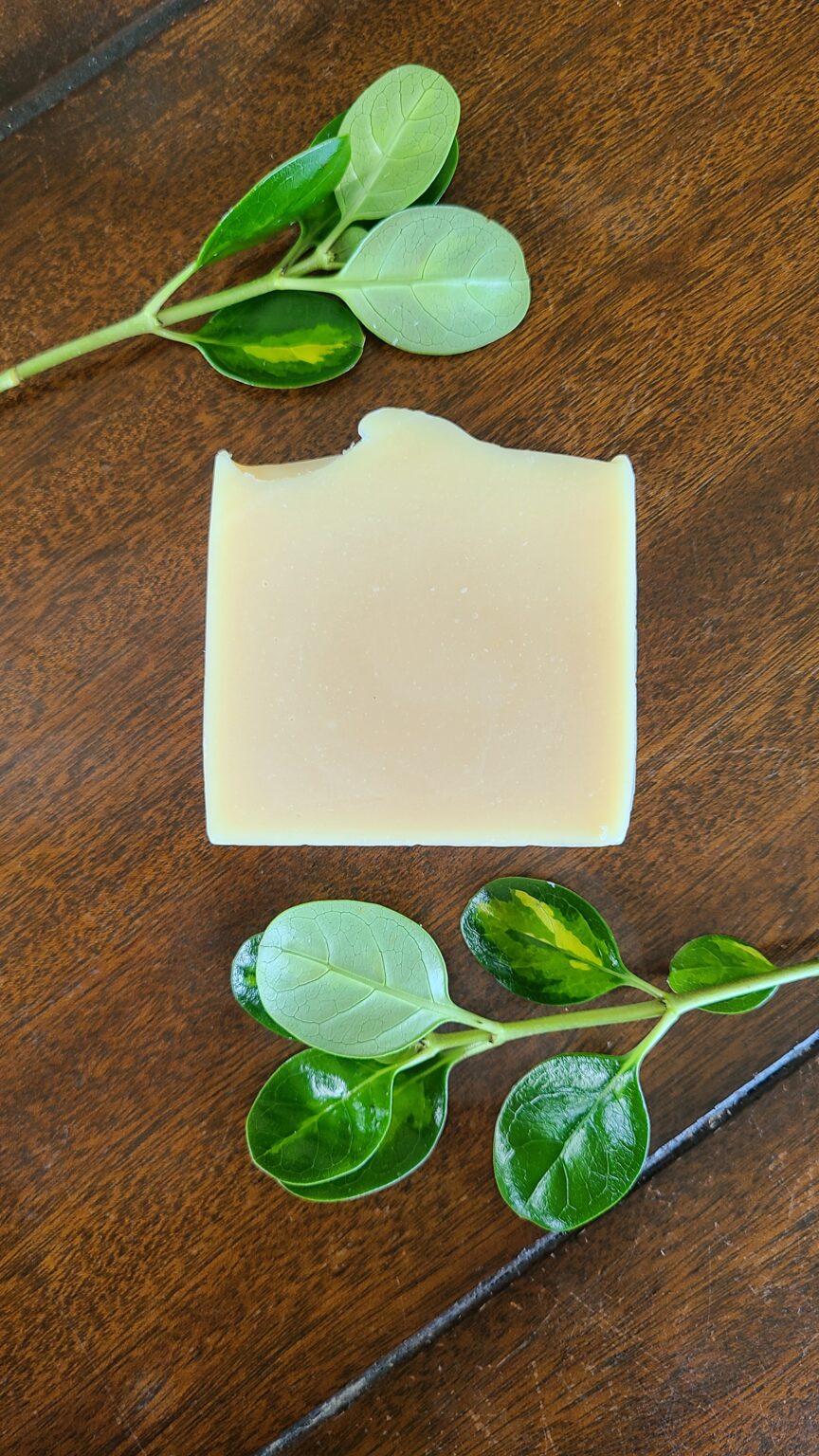 Handmade goat milk soap with green foliage