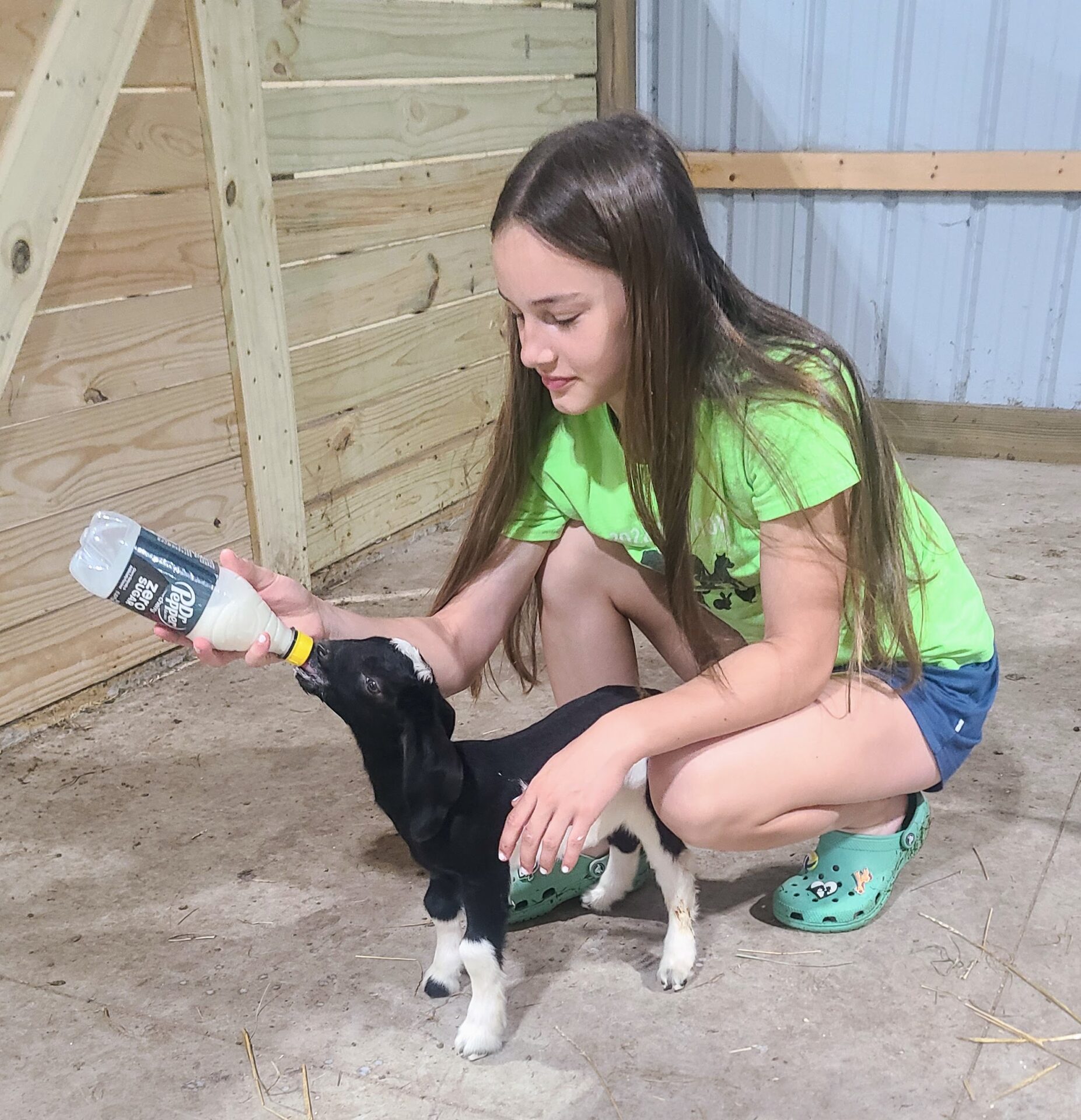 A young girl bottle feeding a black and white baby goat.