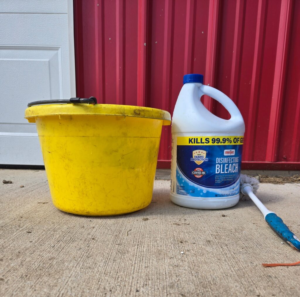 A dirty bucket, bleach, and a toilet brush sitting in front of a barn. Showing how to disinfect a bucket.