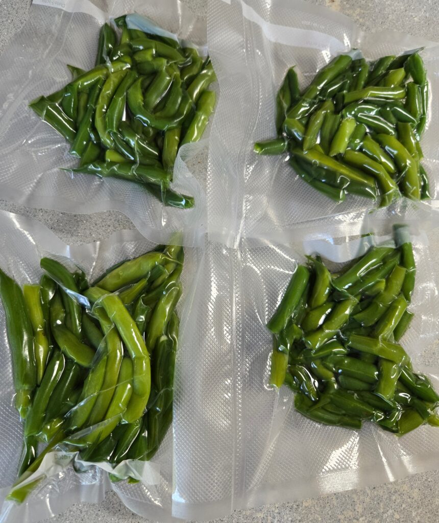 Vacuum sealed packages of fresh green beans.