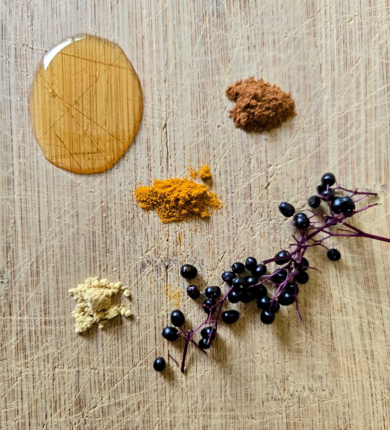 Ingredients for making spiced elderberry syrup