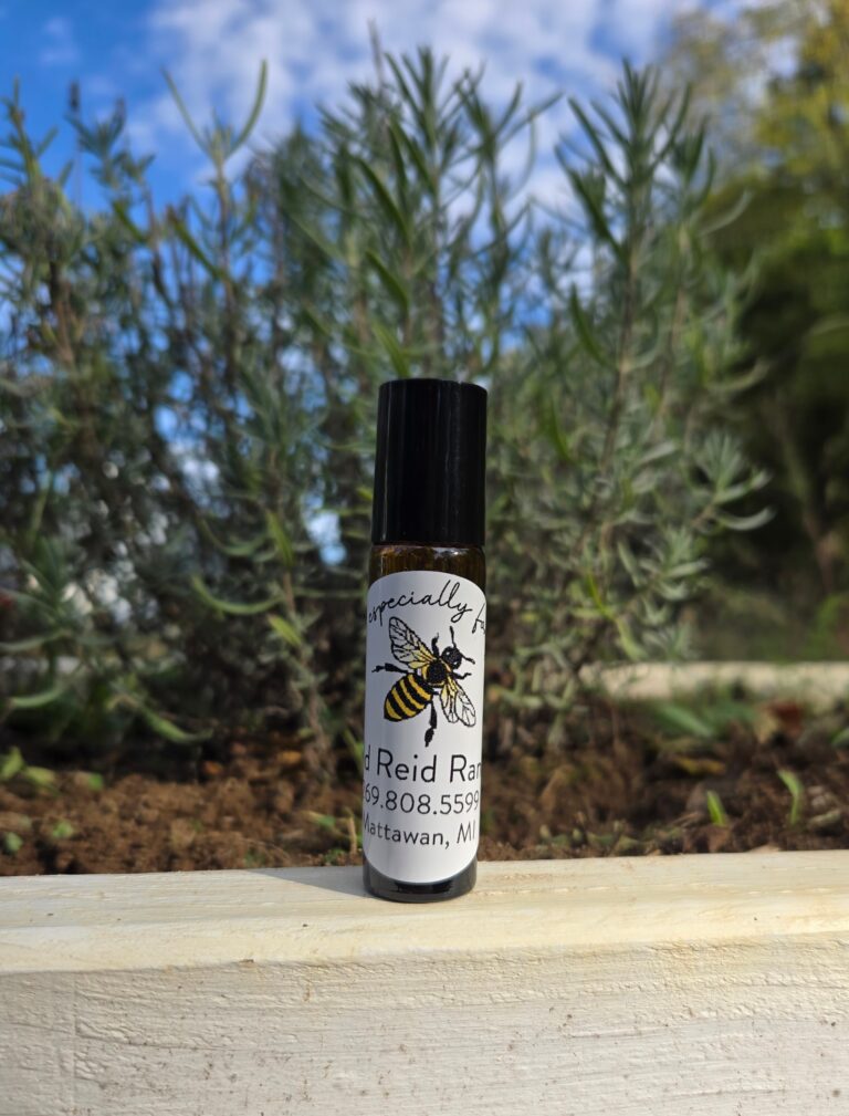 Roller bottle in front of a lavender plant.