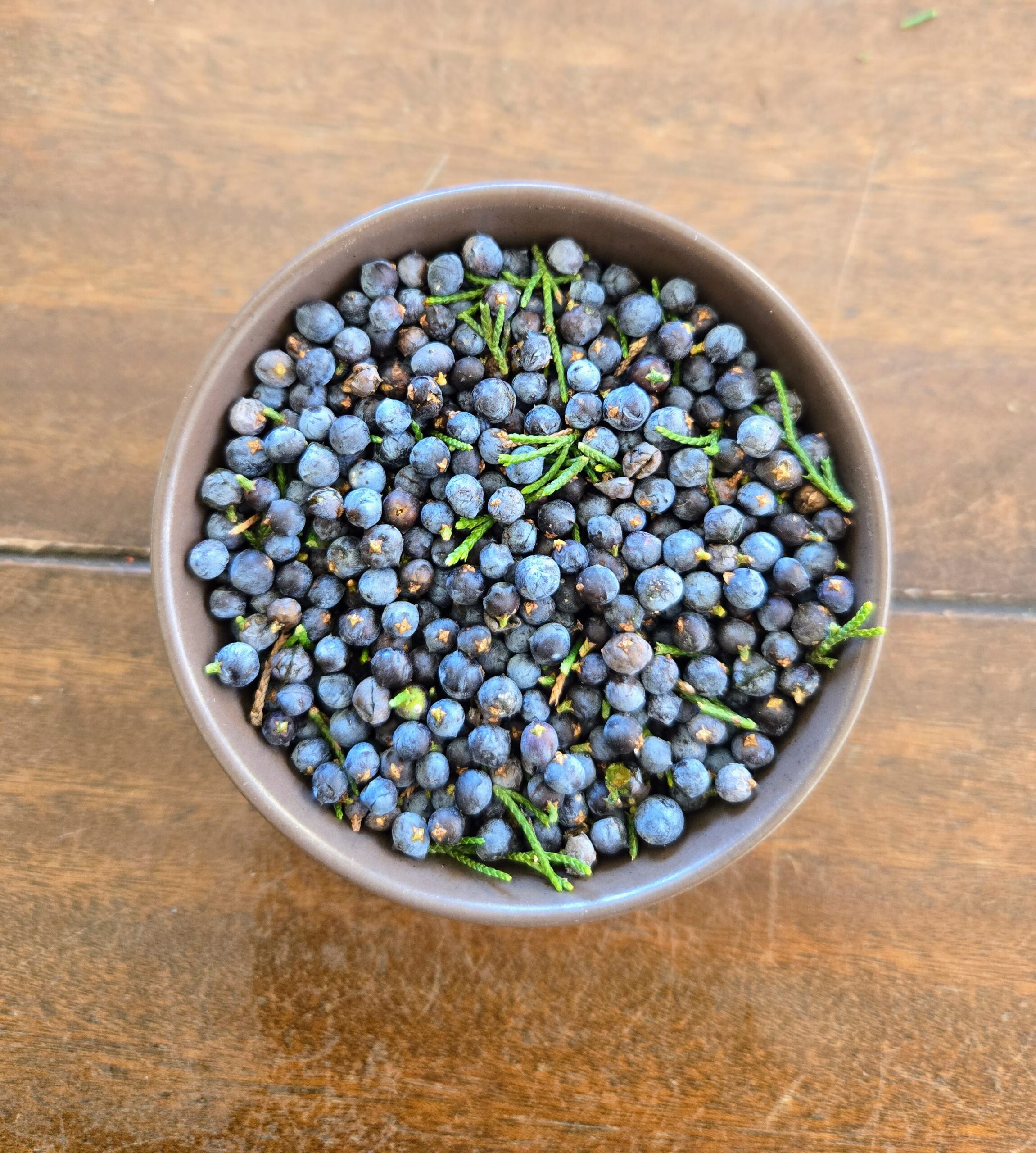 Wild foraged juniper berries.