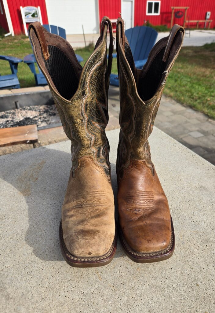 Two cowboy boots.