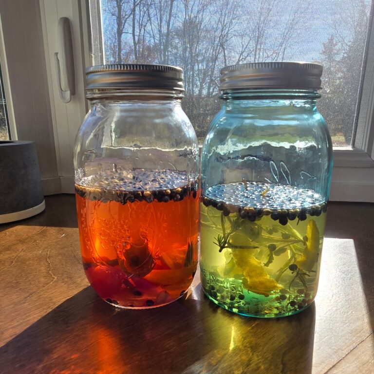 How to Make Compound Gin with Foraged Juniper Berries