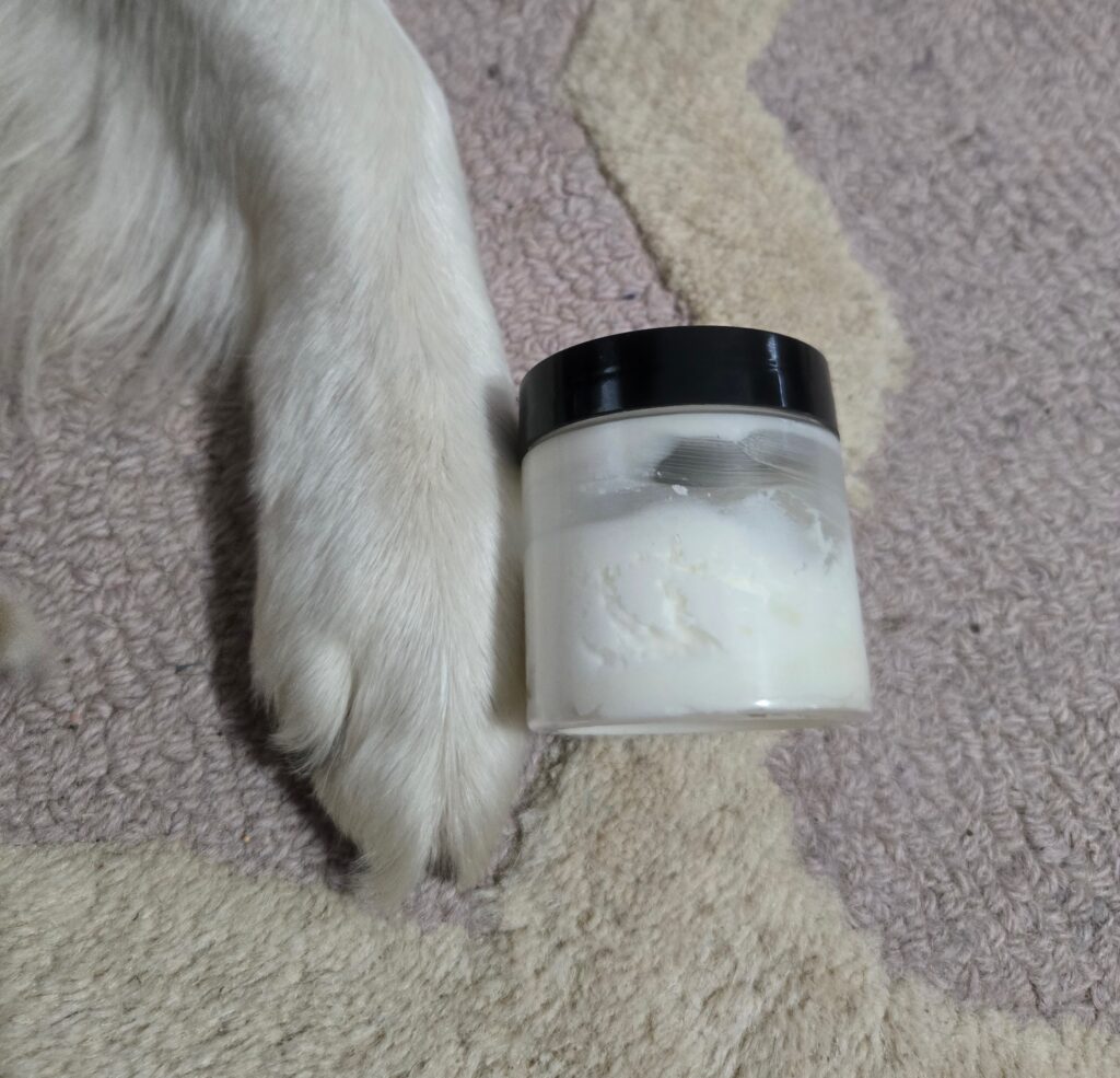 A dog's paw and tallow paw balm.