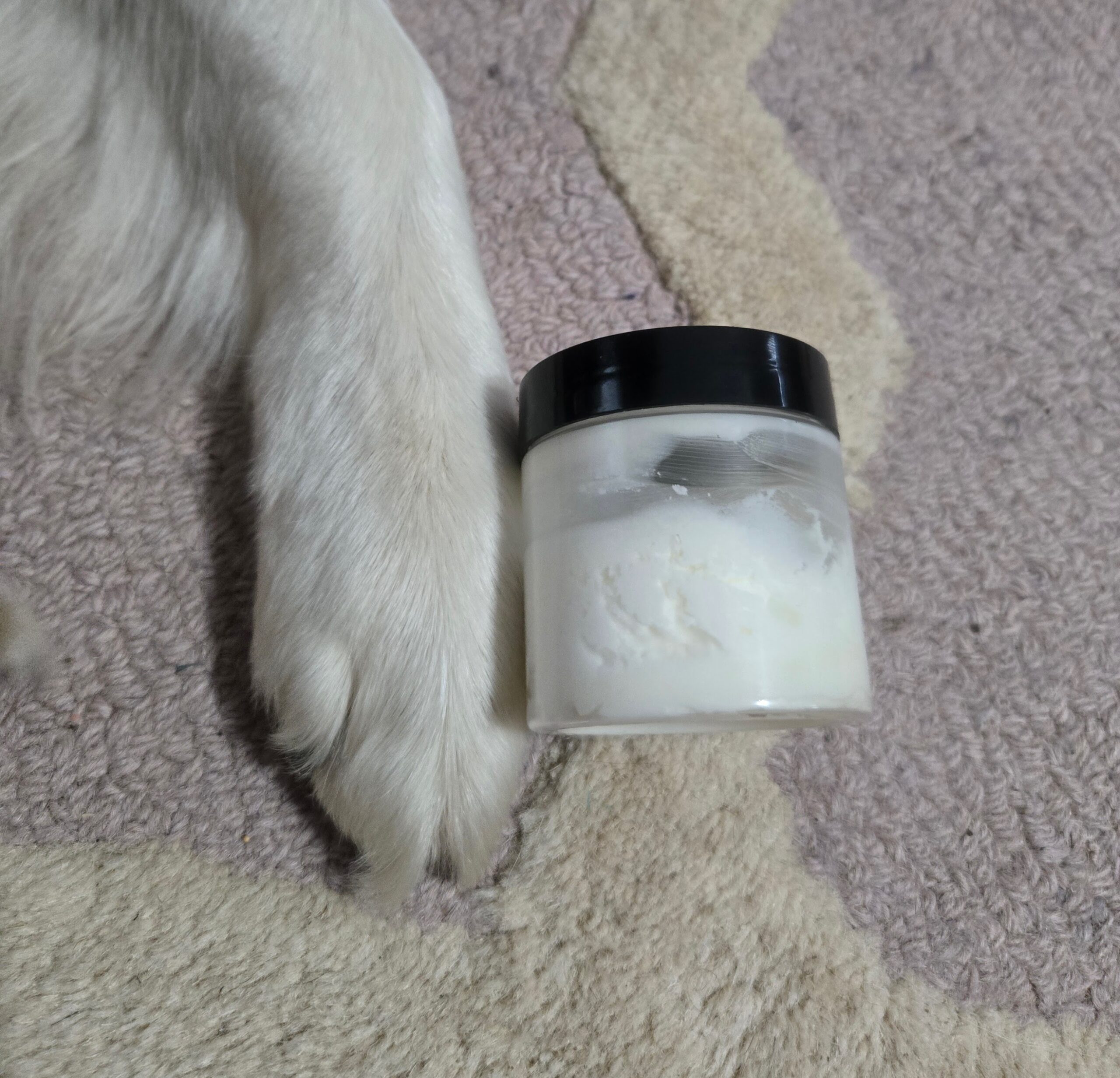 Dog paw with tallow balm.