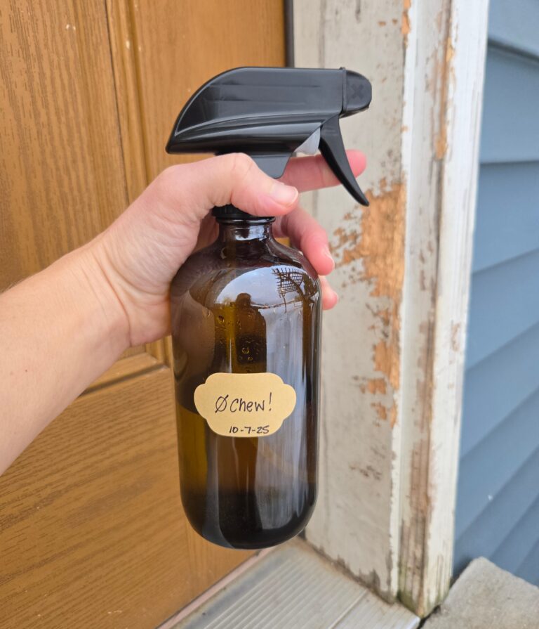 How to Make a No-Chew Spray for Dogs