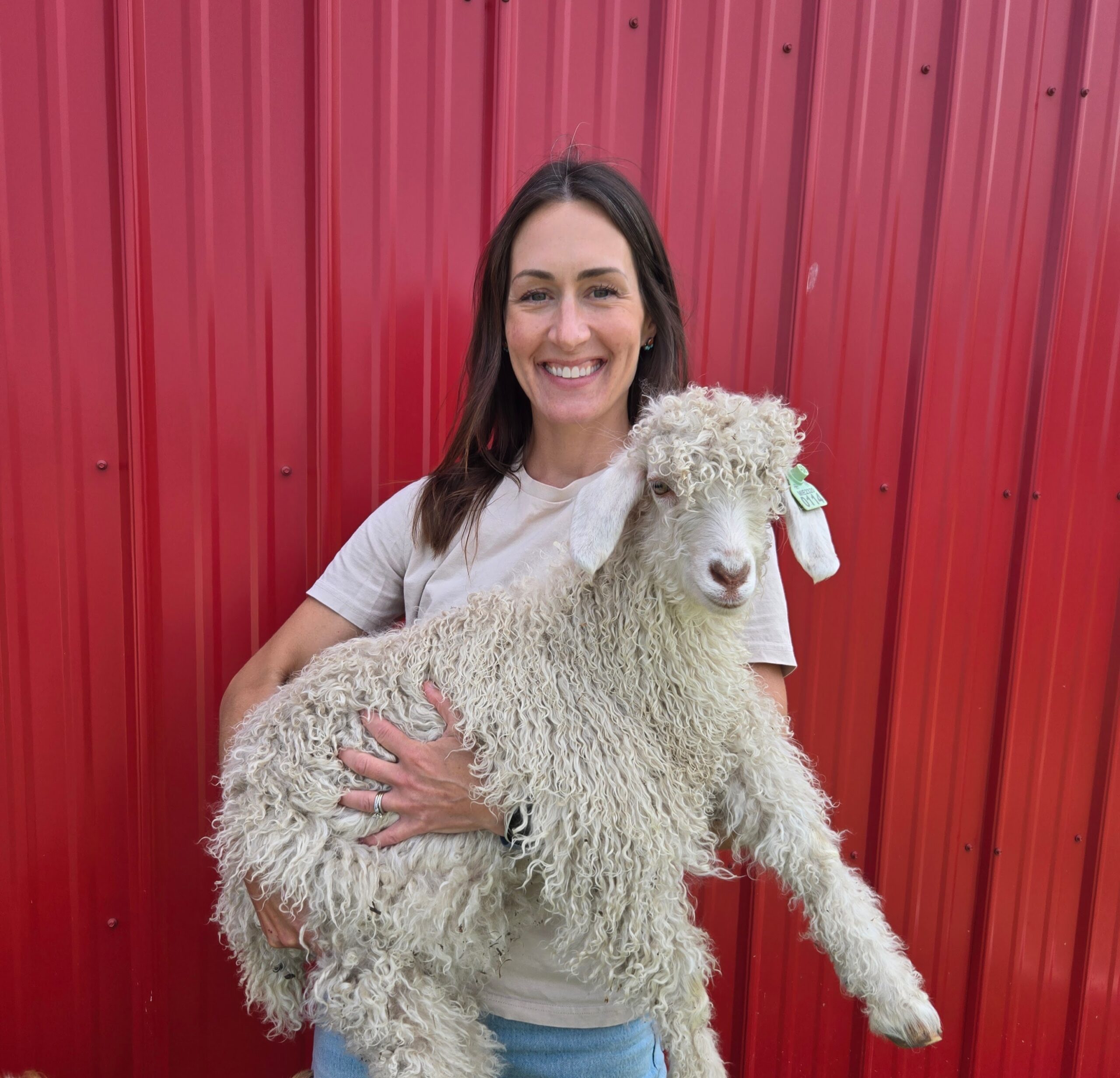 A woman holding a young Angora Goat