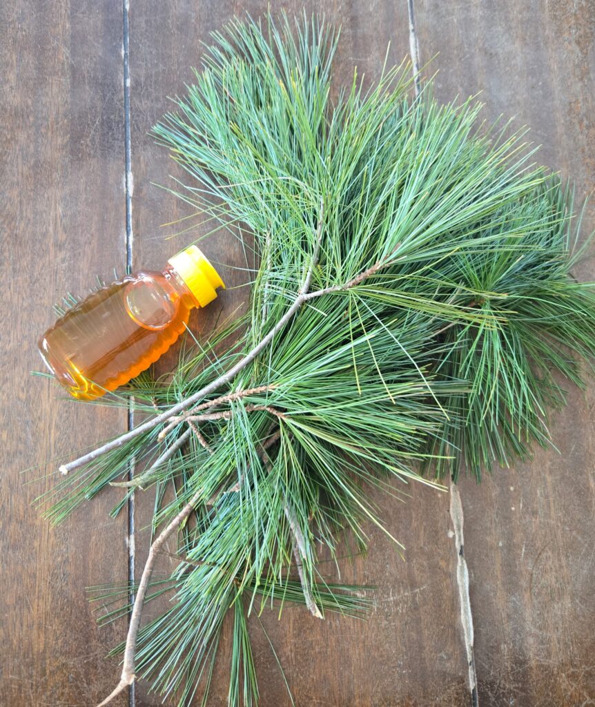 Honey and pine needles laying on a table