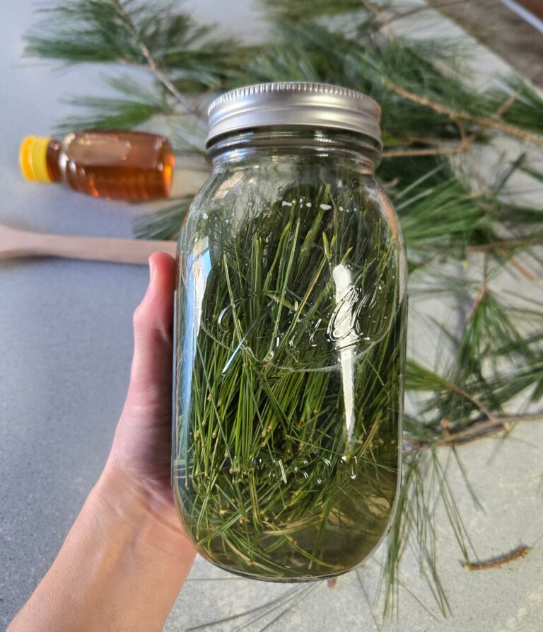 A jar of pine needles