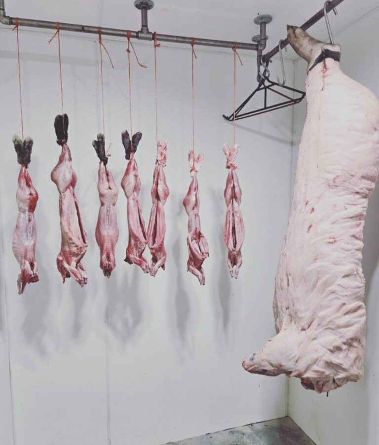 Rabbits and a hog carcass hanging in a cooler