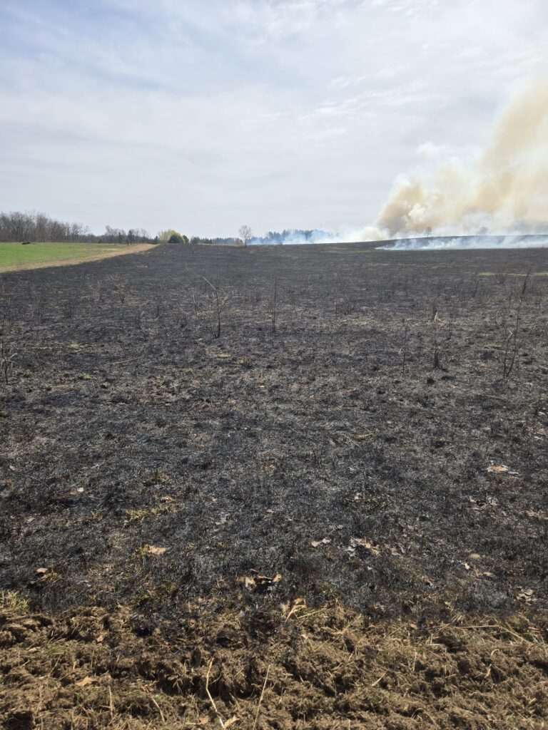 A black field, the final result of a controlled burn.