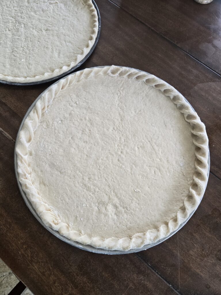 homemade pizza dough in a pizza pan