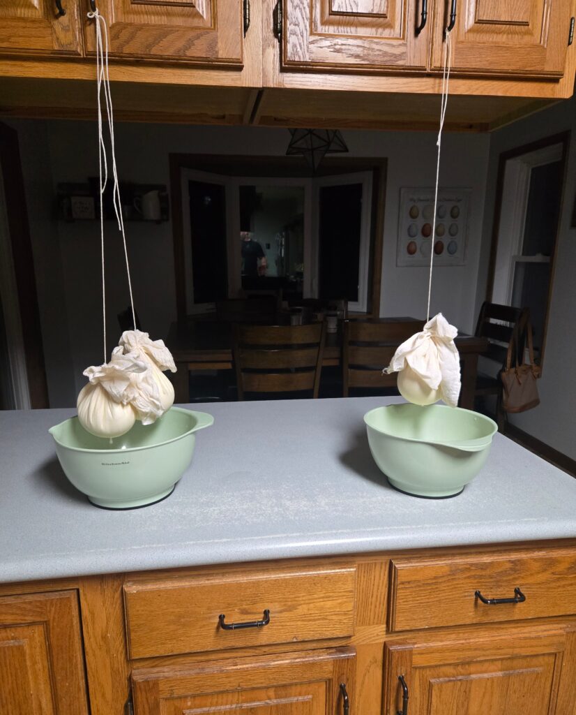 Bags of cheese hanging to drain