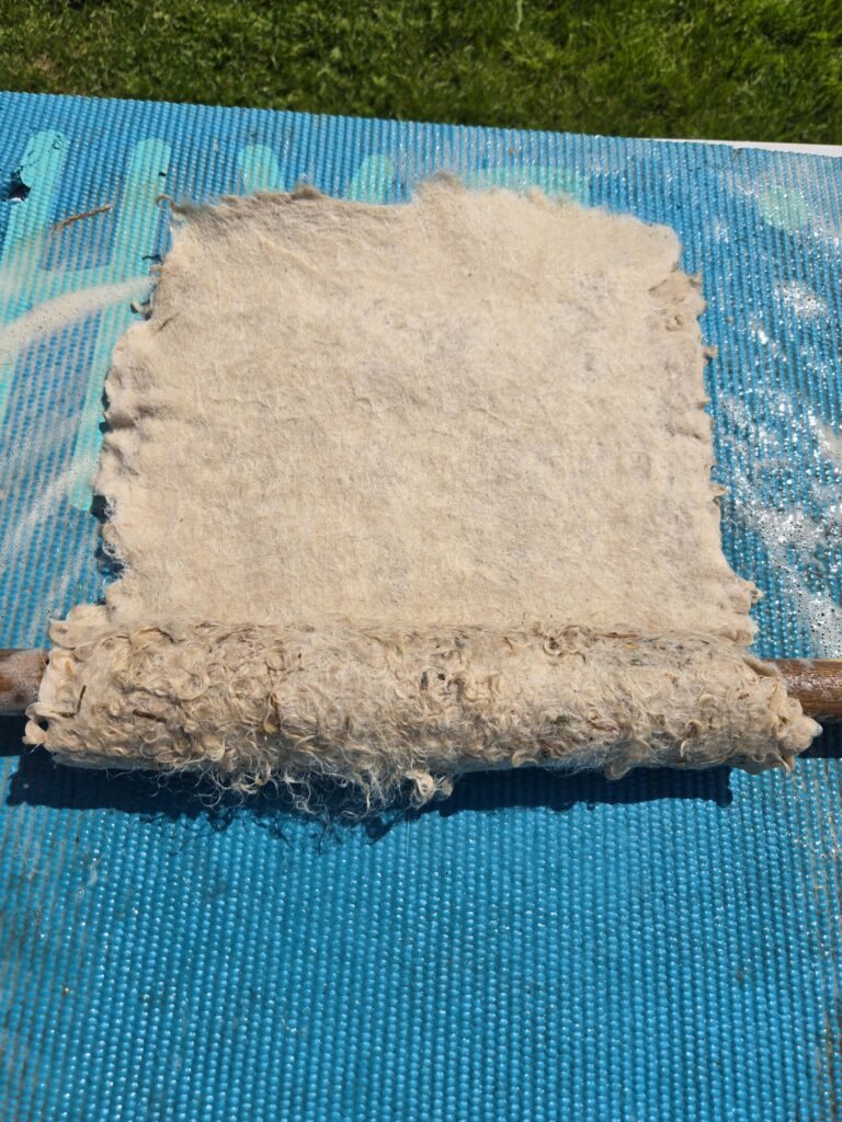 Rolling the felted fleece rug