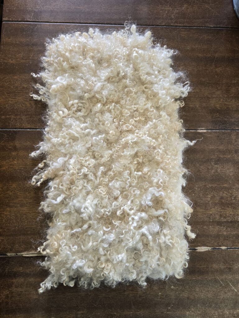 Felted fleece rug made with mohair locks
