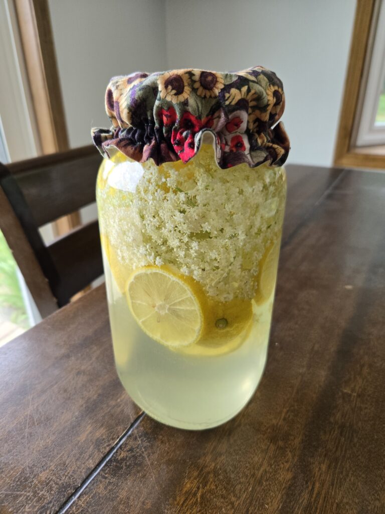 Make elderflower lemonade in a Mason jar