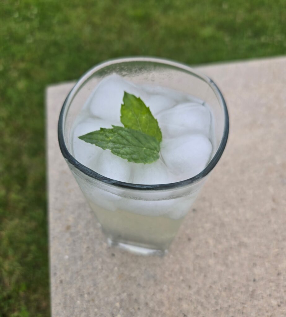 A glass of elderflower lemonade garnished with mint leaves.