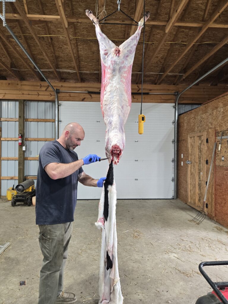 Using a goat cut sheet to butcher a meat goat