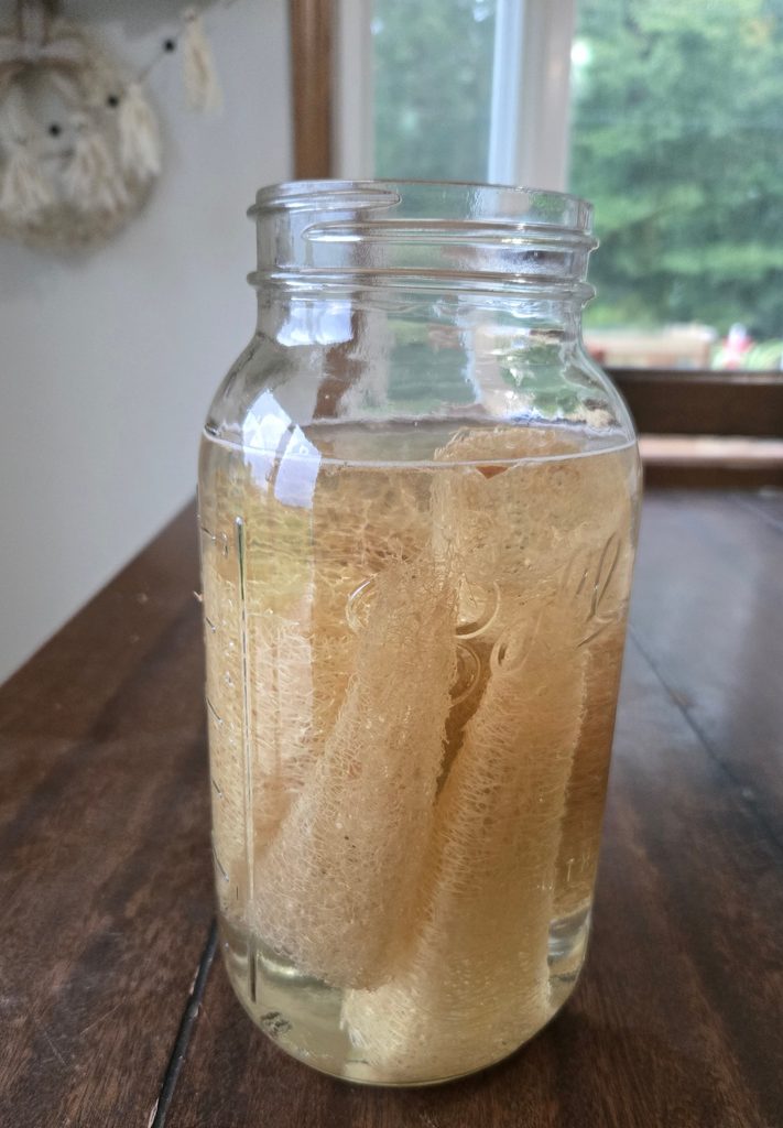 Hydrating loofah in a jar of water